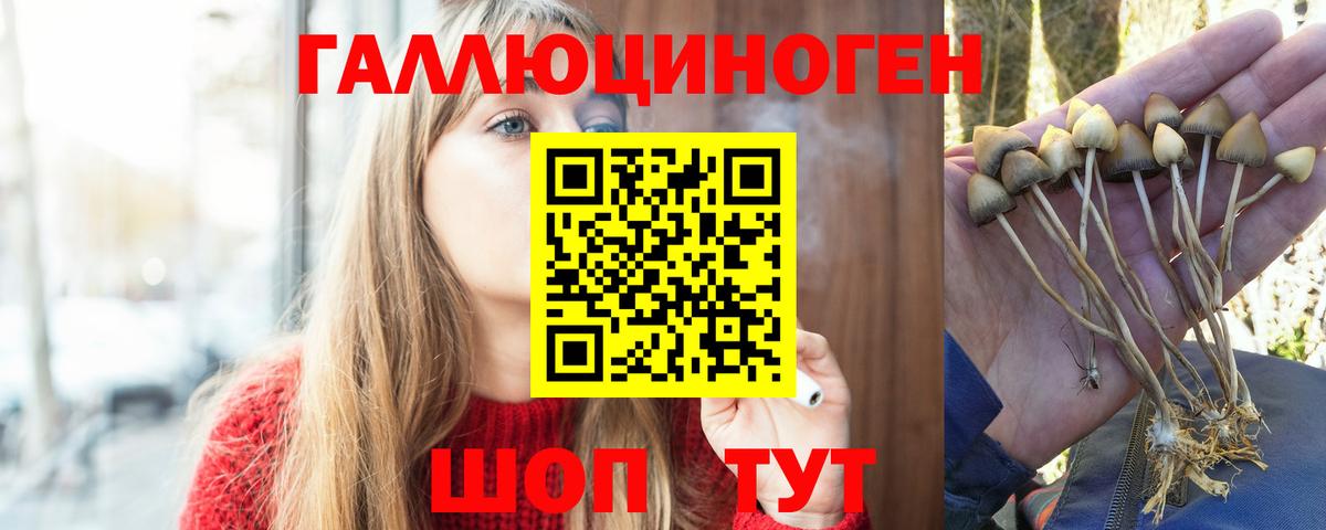 Галлюциногенные грибы Cubensis Маркс
