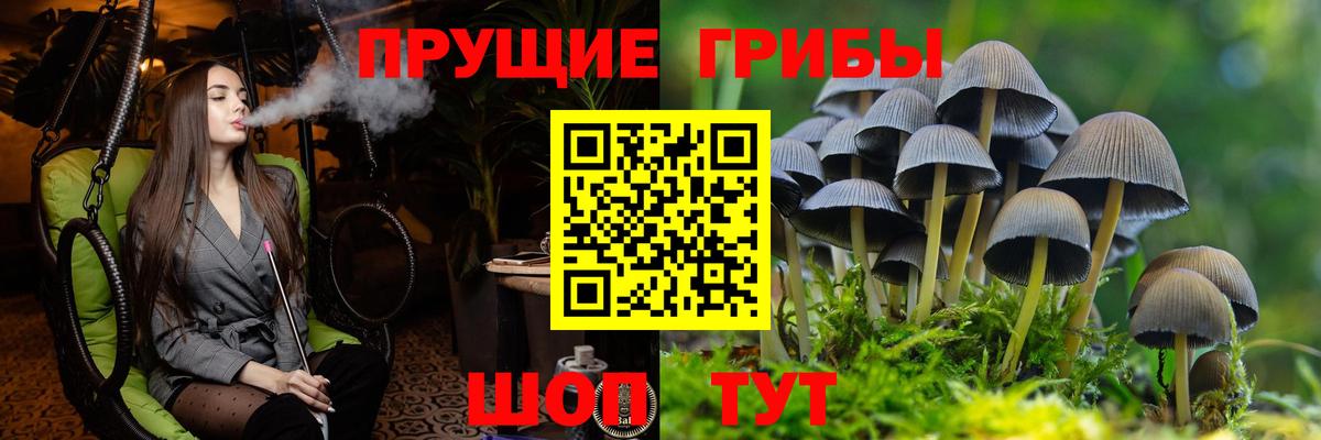Галлюциногенные грибы Magic Shrooms  Вход с VPN  Маркс 